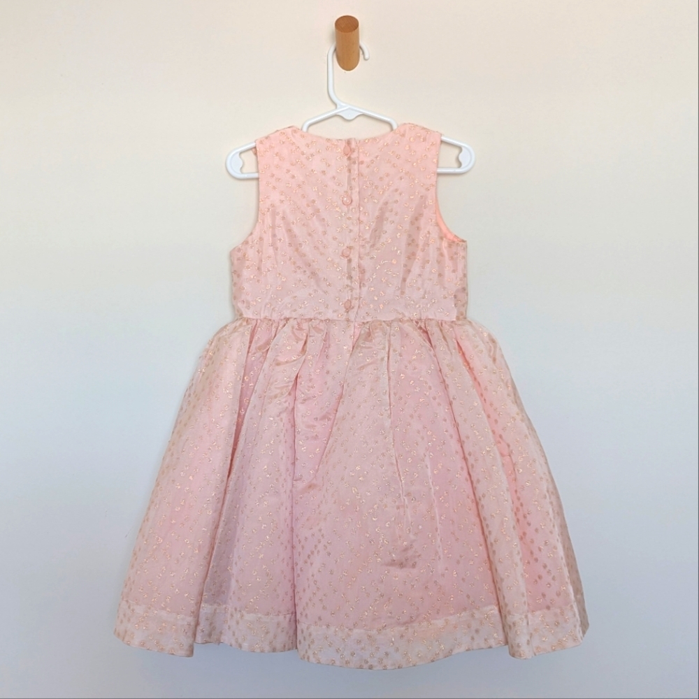 Janie and Jack Pleated Pink Peach Dress with Gold Embroidered Dots - Size 4T - Picture 3 of 10